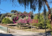 Casa de camp amb terreny en venda a la España, Alcolea, ref.: TR141364 foto