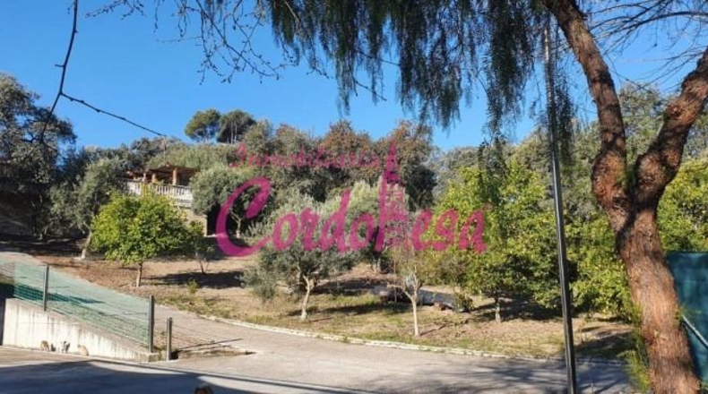 Córdoba - Córdoba - 4000m2