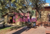 Casa de camp amb terreny en venda a la España, Alcolea, ref.: TR141364 foto