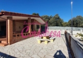 Casa de camp amb terreny en venda a la España, Alcolea, ref.: TR141364 foto