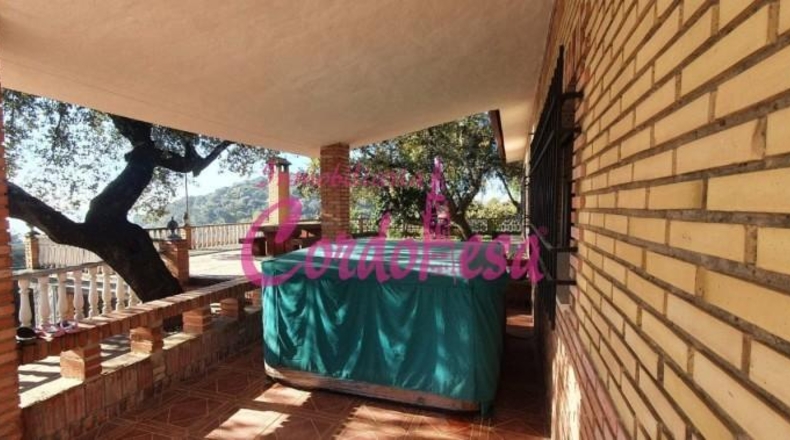 Córdoba - Córdoba - 4000m2