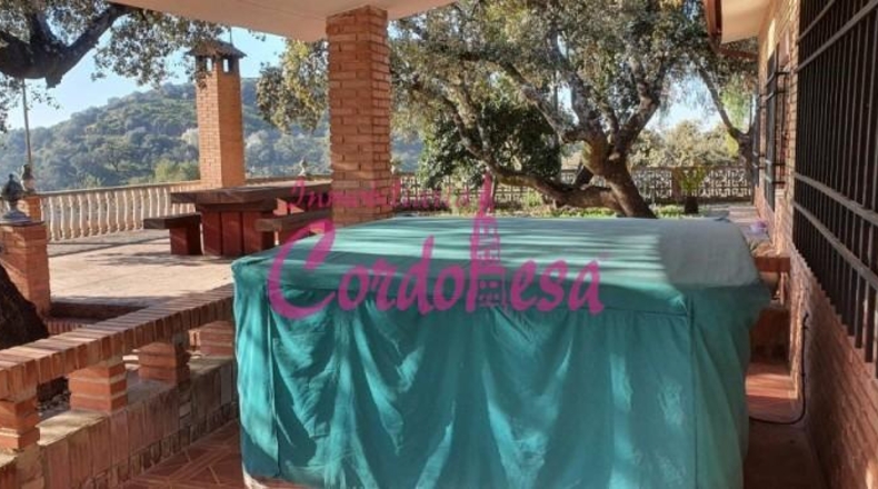 Córdoba - Córdoba - 4000m2