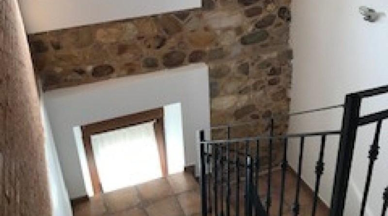 León - Cuadros - 400m2