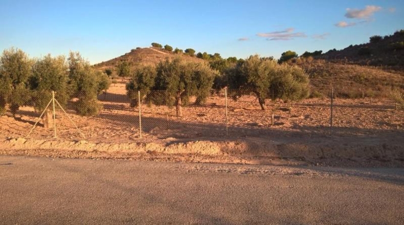 Murcia - Cartagena - 330754m2