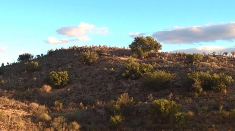 Murcia - Cartagena - 330754m2