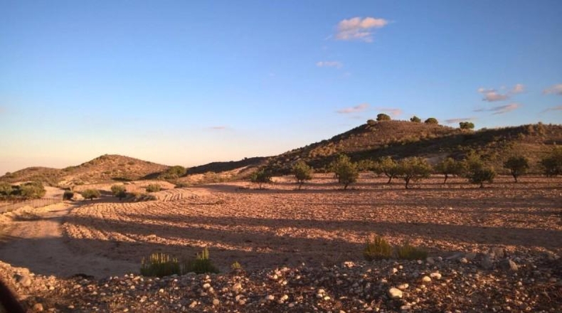 Murcia - Cartagena - 330754m2
