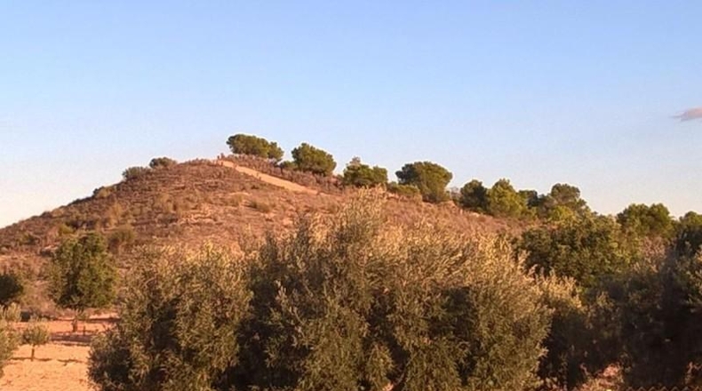 Murcia - Cartagena - 330754m2