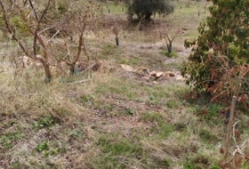 Foto 16