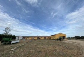 Foto 7