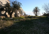 Casa de campo con terreno en venta en la España, Gata de Gorgos, ref: TR146806 foto