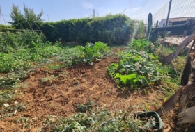 Foto 6