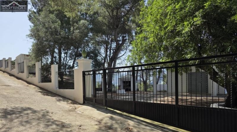 Valencia - Alcira - 63000m2