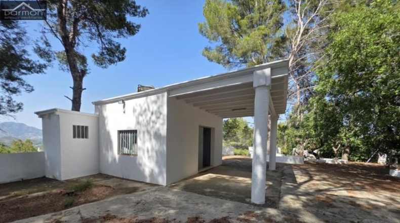 Valencia - Alcira - 63000m2