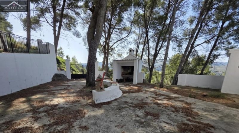 Valencia - Alcira - 63000m2