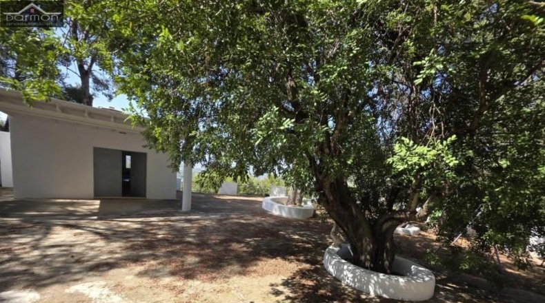 Valencia - Alcira - 63000m2
