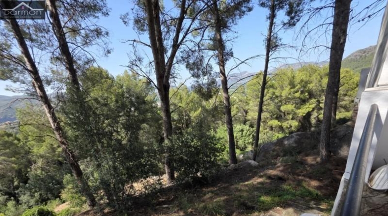 Valencia - Alcira - 63000m2