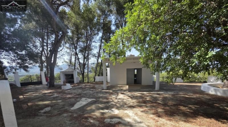 Valencia - Alcira - 63000m2