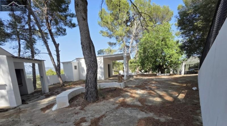 Valencia - Alcira - 63000m2