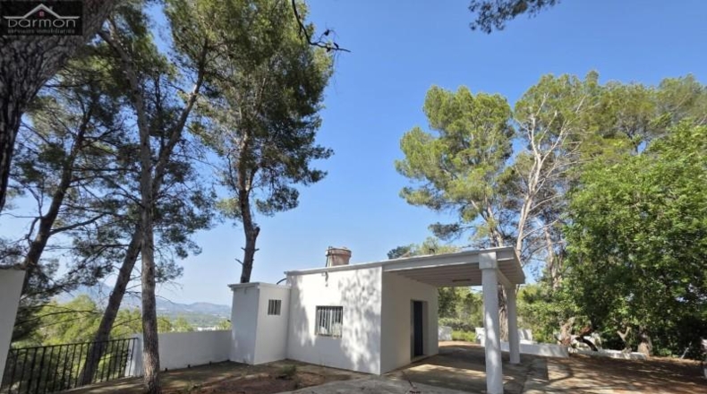 Valencia - Alcira - 63000m2