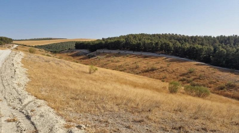Granada - Santa Fe - 210000m2