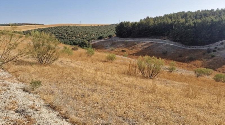 Granada - Santa Fe - 210000m2