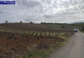 Terreny no urbanitzable en venda a la España, Camponaraya, ref.: TR242468 foto