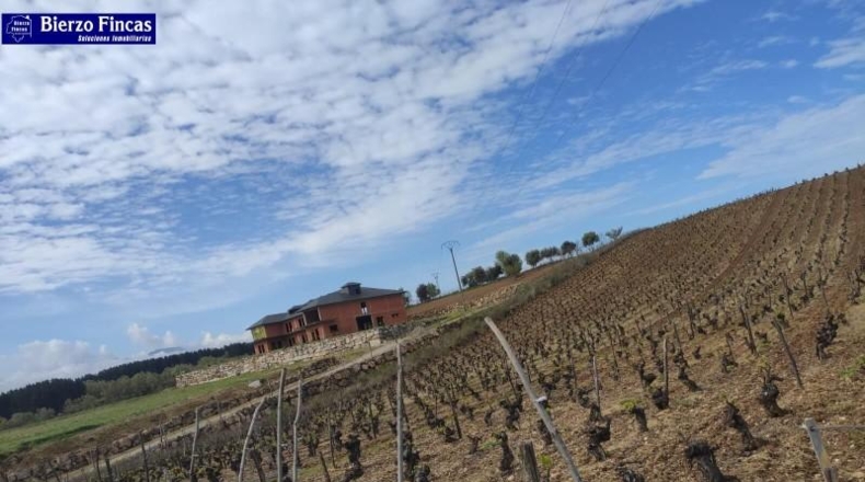 Leon - Camponaraya - 40000m2