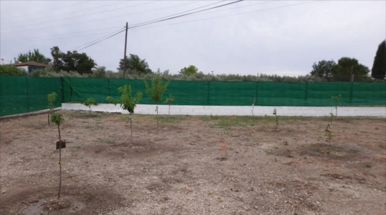 Córdoba - Cabra - 1800m2
