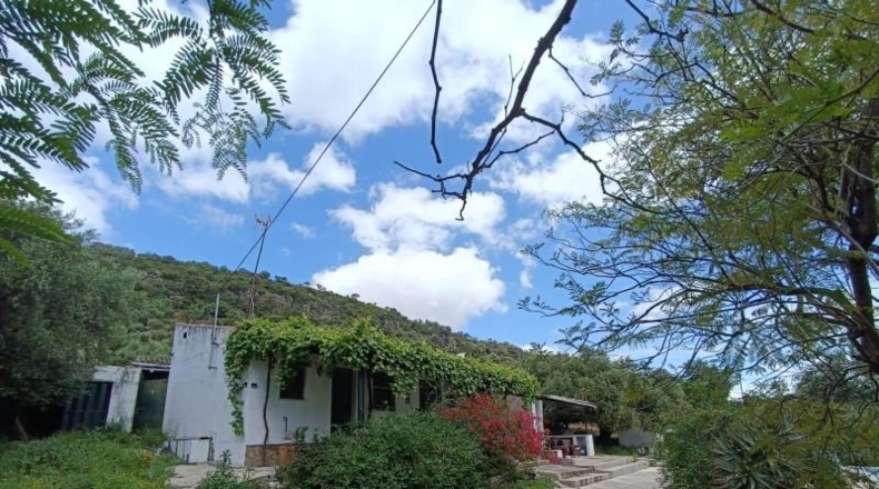 Cádiz - Prado del Rey - 40000m2