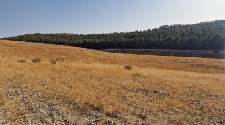 Granada - Santa Fe - 211056m2