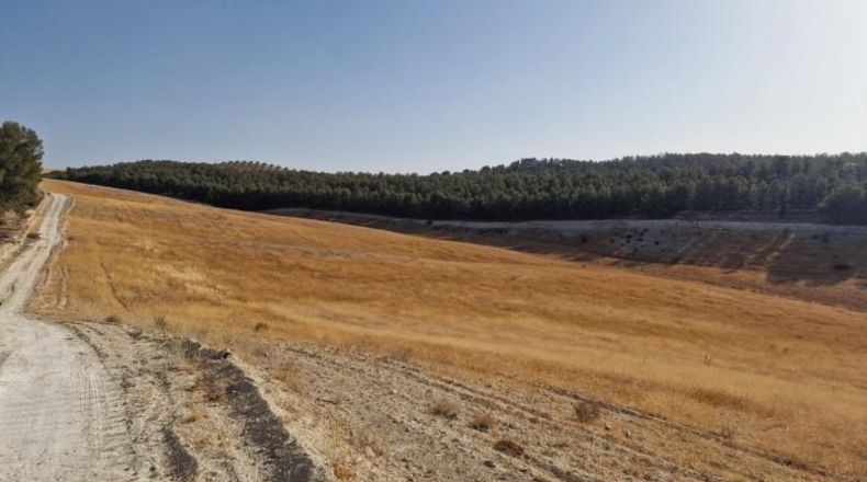 Granada - Santa Fe - 211056m2