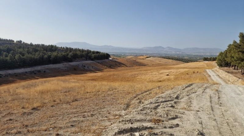 Granada - Santa Fe - 211056m2