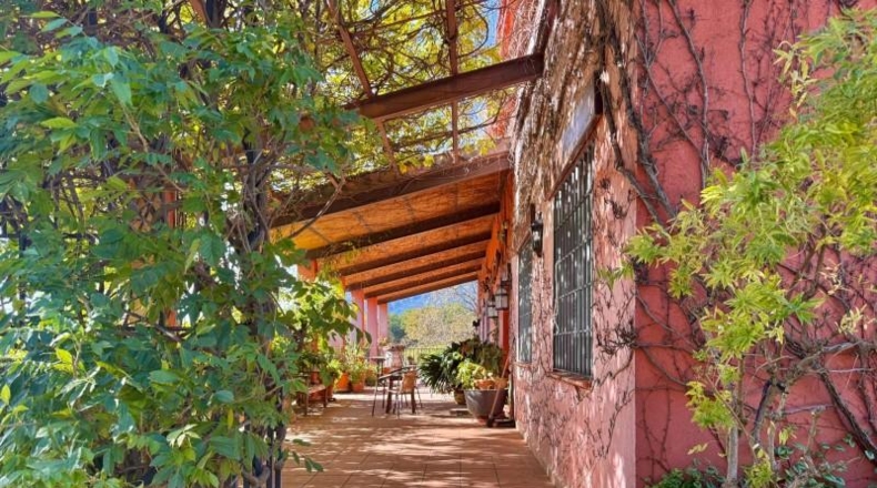 Ávila - Piedralaves - 2731m2
