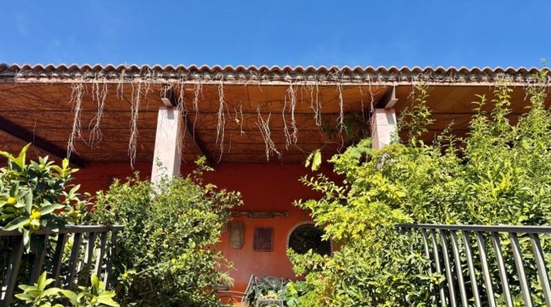 Ávila - Piedralaves - 2731m2