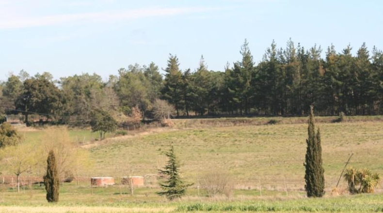 Girona - Maçanet de la Selva - 14527m2