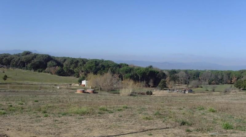 Girona - Maçanet de la Selva - 14527m2