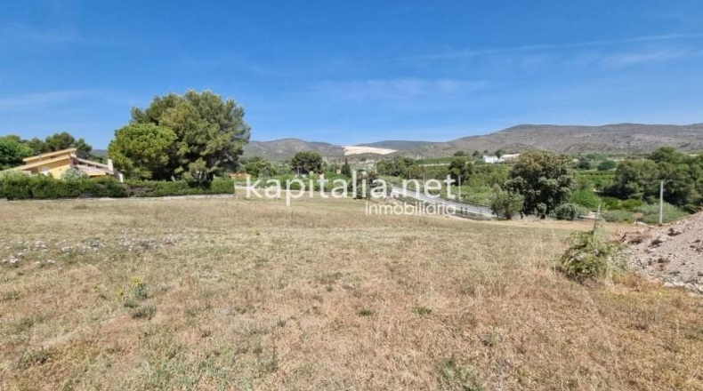 Valencia - Онтеньенте - 14000m2