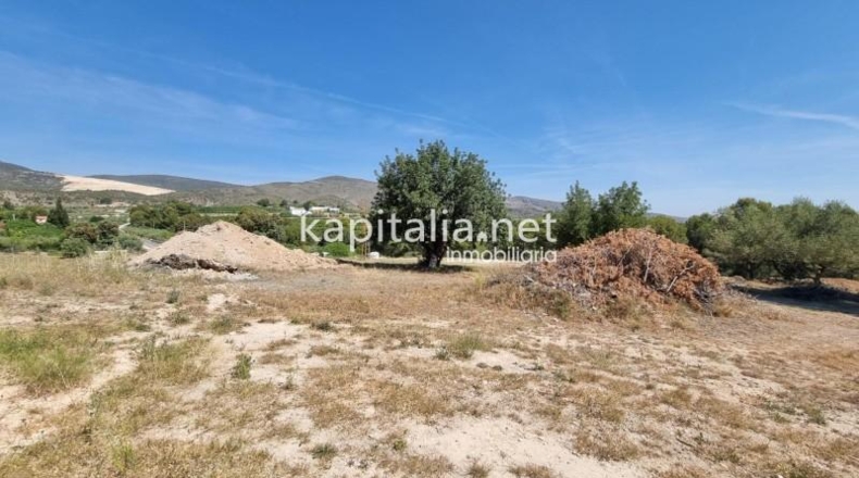 Valencia - Онтеньенте - 14000m2