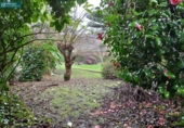 Chalet independiente con terreno en venta en la España, Infesta, ref: TR373560 foto