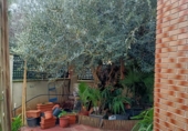 Casa de pueblo en venta en la España, Vilanova de Segrià, ref: TR374988 foto
