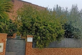 Foto 19