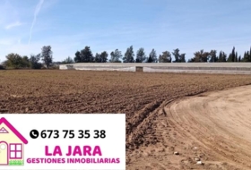Chipiona 16500&nbsp;m²
