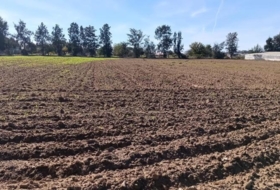 Chipiona 16500&nbsp;m²
