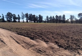 Chipiona 16500&nbsp;m²