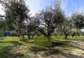Отдельно стоящий дом с участком на продажу в городе Ontinyent Фото