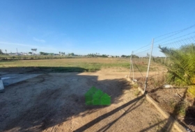 Montijo 8455&nbsp;m²