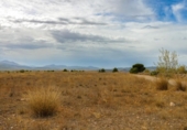 Terreno no urbanizable en venta en la España, Montealegre del Castillo, ref: TR127198 foto