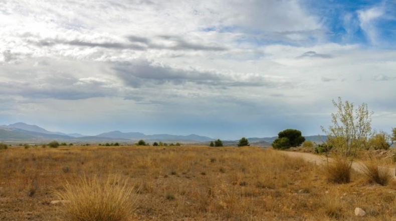 Múrcia - Jumilla - 164304m2