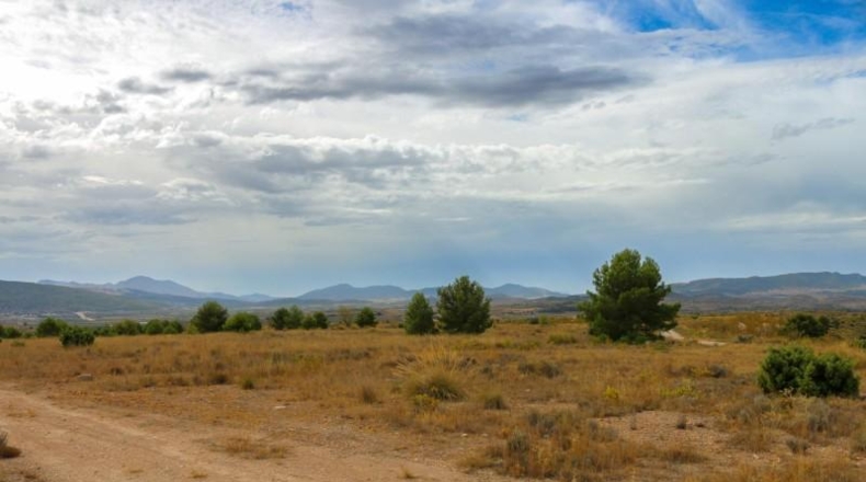 Múrcia - Jumilla - 164304m2