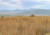 Terreno no urbanizable en venta en la España, Montealegre del Castillo, ref: TR127198 foto